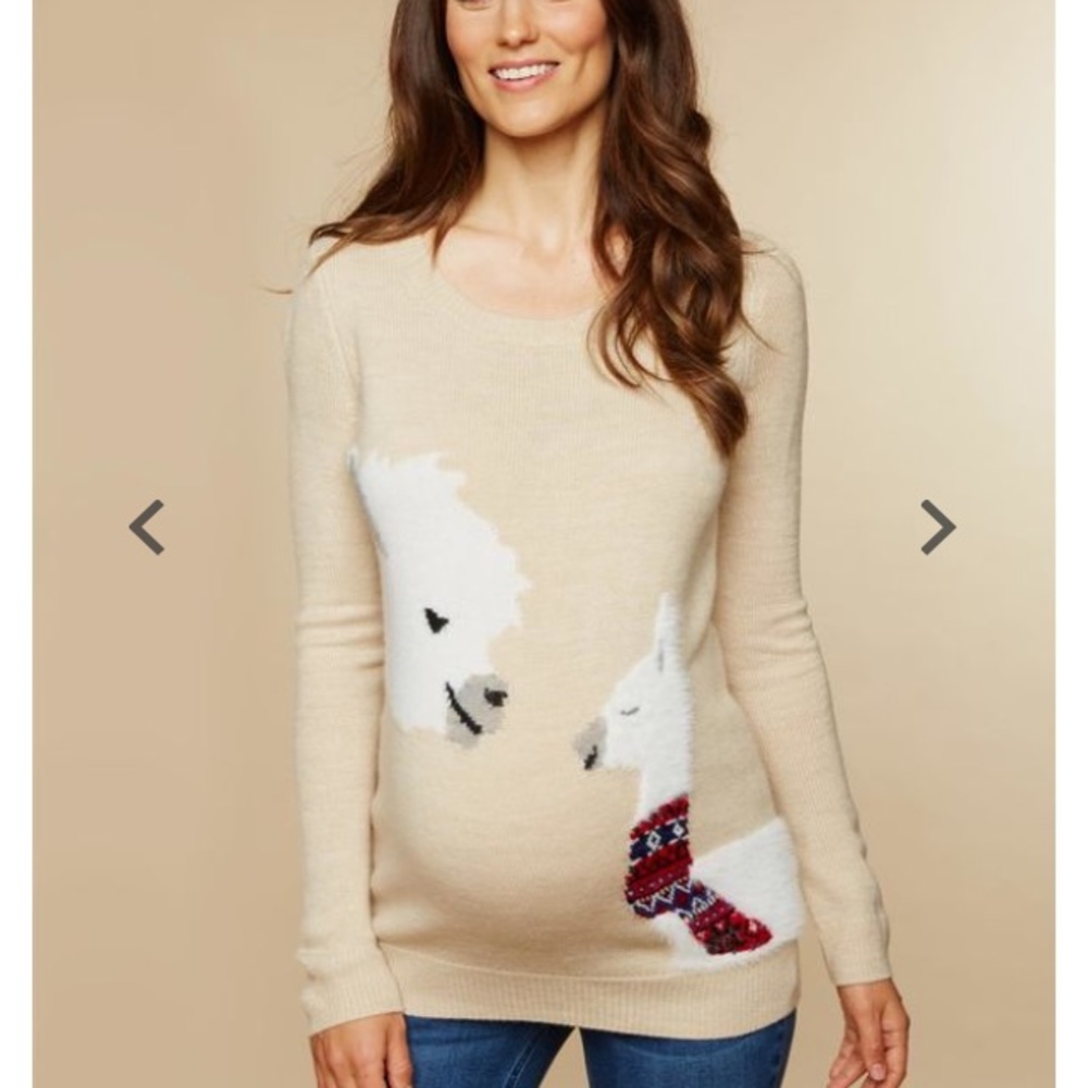 Fuzzy llama sweater